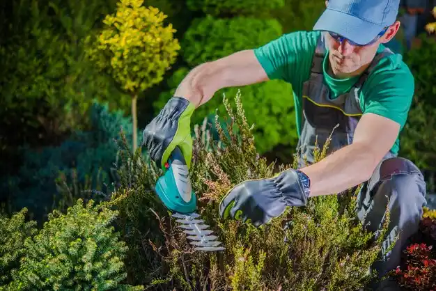 landscaping services Hardinsburg